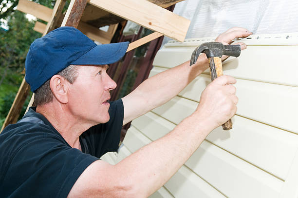 Best Vinyl Siding Installation  in Lyles, TN