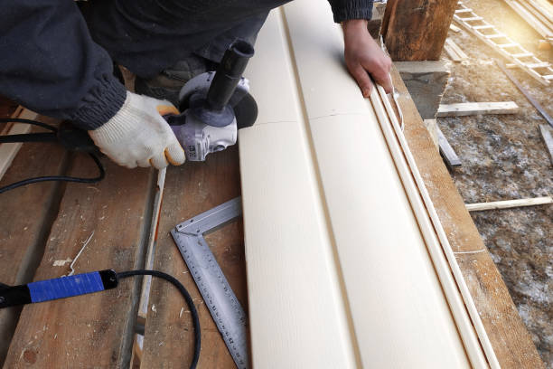 Best Vinyl Siding Installation  in Lyles, TN