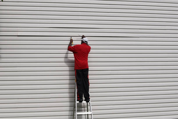 Best Custom Trim and Detailing for Siding  in Lyles, TN
